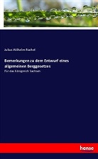 Julius Wilhelm Rachel - Bemerkungen zu dem Entwurf eines allgemeinen Berggesetzes