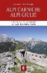 Mario de Biasio, Hans Lukas - Alpi Carniche. Alpi Giulie. 18 itinerari storico escursionistici sui luoghi della grande guerra