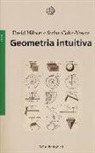 Stefan Cohn Vossen, David Hilbert - Geometria intuitiva