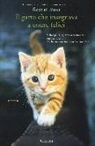 Rachel Wells - Il gatto che insegnava a essere felici