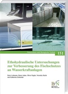 Beat Adam, Beate Adam, Oliver Engler, Oliver u a Engler, Veronika Hecht, Bori Lehmann... - Ethohydraulische Untersuchungen zur Verbesserung des Fischschutzes an Wasserkraftanlagen