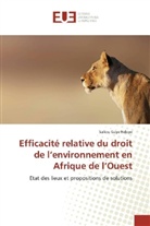 Saliou Gaye Ndoye - Efficacité relative du droit de l'environnement en Afrique de l'Ouest