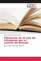Rafael Alejandro Vivanco Estrada - Eficiencia en el uso de nitrógeno por el cultivo de brocoli