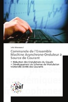 Leila Moussaoui - Commande de l'Ensemble Machine Asynchrone-Onduleur à Source de Courant
