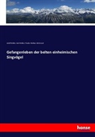 Adol Müller, Adolf Müller, Kar Müller, Karl Müller, Charles Walla Richmond, Charles Wallace Richmond - Gefangenleben der belten einheimischen Singvögel