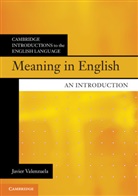 Javier Valenzuela, Javier (Universidad De Murcia Valenzuela, Valenzuela Javier - Meaning in English