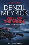 Denzil Meyrick - Well of the Winds