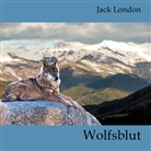 Jack London, Markus Pol - Wolfsblut, Audio-CD, (Audiolibro)