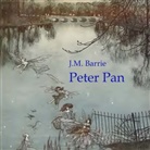 J. M. Barrie, James Matthew Barrie - Peter Pan, Audio-CD, MP3 (Audio book)