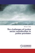 Alemayehu Gonfa - The challenges of justice sector coordination in justice provision
