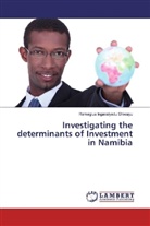 Remegius Ingavalyedu Shiwayu - Investigating the determinants of Investment in Namibia