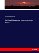 Johannes Schmidt - Die Pluralbildungen der indogermanischen Neutra