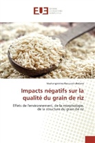Voahanginirina Rasoazanakolona - Impacts négatifs sur la qualité du grain de riz