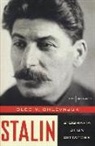 Oleg V. Chlevnjuk - Stalin. Biografia di un dittatore