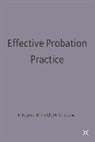 Pete Raynor, Peter Raynor, Professor Peter Raynor, Davi Smith, David Smith, Maurice Vanstone - Effective Probation Practice