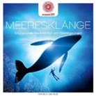 Davy Jones - Meeresklänge, 1 Audio-CD (Audio book)