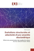 Walid Oueslati - Evolutions structurales et sélectivité d'une smectite dioctaédrique