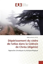 Abderrahmane Fettah - Dépérissement du cèdre de l'atlas dans la Cédraie de Chréa (Algérie)