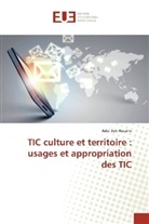 Adel Ben Hassine - TIC culture et territoire : usages et appropriation des TIC