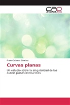 Frank Collantes Sánchez - Curvas planas