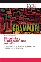 Martín Gonzalo Zapico - Sinonimia y significado: una revisión