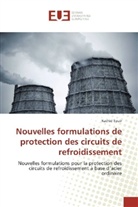 Rachid Touir - Nouvelles formulations de protection des circuits de refroidissement