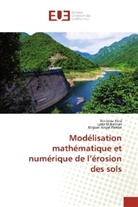 Mi Ángel Parrón, Miguel Ángel Parrón, Larb El Bakkali, Larbi El Bakkali, Benaiss Kissi, Benaissa Kissi - Modélisation mathématique et numérique de l'érosion des sols