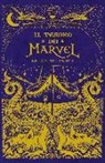 Brian Selznick - Il tesoro dei Marvel