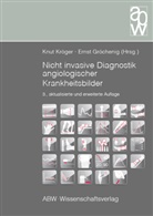 Gröchenig, Gröchenig, Ernst Gröchenig, Knu Kröger, Knut Kröger - Nicht invasive Diagnostik angiologischer Krankheitsbilder