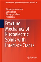 Volodymy Govorukha, Volodymyr Govorukha, Mar Kamlah, Marc Kamlah, Yuri Lapusta, Volodymy Loboda... - Fracture Mechanics of Piezoelectric Solids with Interface Cracks