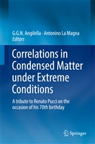 G N N Angilella, G. G. N. Angilella, Giuseppe Angilella, G N Angilella, G G N Angilella, La Magna... - Correlations in Condensed Matter under Extreme Conditions