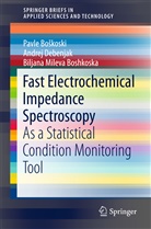 Biljana Mileva Boshkoska, Pavl Boskoski, Pavle Boskoski, Pavle Boškoski, Andre Debenjak, Andrej Debenjak... - Fast Electrochemical Impedance Spectroscopy