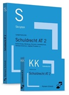 Tobias Langkamp, Jan S. Lüdde, Jan Stefan Lüdde, Tobia Wirtz, Tobias Wirtz - Alpmann-Cards, Karteikarten (KK): Bundle Langkamp, Skript Schuldrecht AT 2 + Langkamp, Karteikarten Schuldrecht AT 2