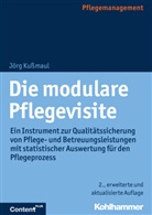 Jörg Kußmaul - Die modulare Pflegevisite