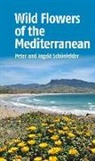 Ingrid Schonfelder, Peter Schonfelder - Wild Flowers of the Mediterranean