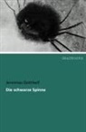 Jeremias Gotthelf - Die schwarze Spinne