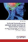 Manickam Raja - Induced hyperglycemia adrenal cortex function in Giant Danio embryos