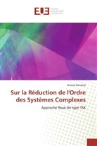 Anouar Bouazza - Sur la Réduction de l'Ordre des Systèmes Complexes