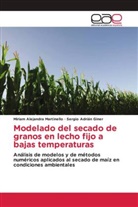 Sergio Adrián Giner, Miriam Alejandr Martinello, Miriam Alejandra Martinello - Modelado del secado de granos en lecho fijo a bajas temperaturas