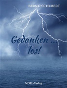 Bernd Schubert - Gedanken ... los!
