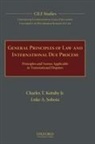 Charles T Kotuby, Charles T. Kotuby, Jr. Kotuby, Charles T Kotuby Jr, Charles T. Kotuby Jr, Kotuby Jr. Charles T.... - General Principles of Law and International Due Process