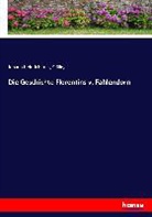 Johann H. Jung-Stilling, Johann Heinrich Jung-Stilling - Die Geschichte Florentins v. Fahlendorn