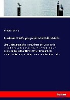Arnold Ludwig - Ferdinand Hirt's geographische Bildertafeln