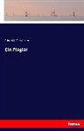 Friedrich Gerstäcker - Ein Plagiar