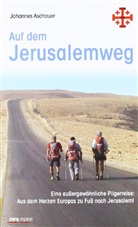 Johannes Aschauer - Auf dem Jerusalemweg