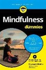 Shamash Alidina - Mindfulness para Dummies