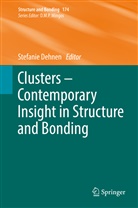Stefani Dehnen, Stefanie Dehnen - Clusters - Contemporary Insight in Structure and Bonding