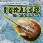 Sarah Machajewski - Horseshoe Crabs Lived With the Dinosaurs!