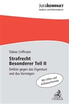 Tobias Ceffinato, Tobias (Dr.) Ceffinato - Strafrecht Besonderer Teil II. Tl.2