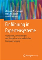 Naumann, Andre Naumann, André Naumann, Krzyszto Rudion, Krzysztof Rudion, Zbigniew Styczynski... - Einführung in Expertensysteme